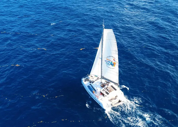 Catamaran Zephyr Experience Exclusive Navigation, Diner, Nuit, Petit-Dejeuner Inclus